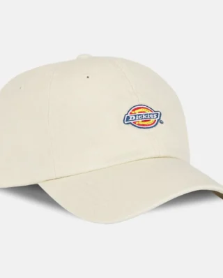 DICKIES HARDWICK WHITECAP GRAY DK0A4TKVF901 - DICKIES