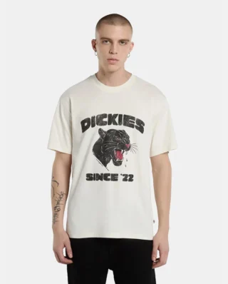 DICKIES MCDERMITT TEE EGRET DK0A8CU2C481 - DICKIES