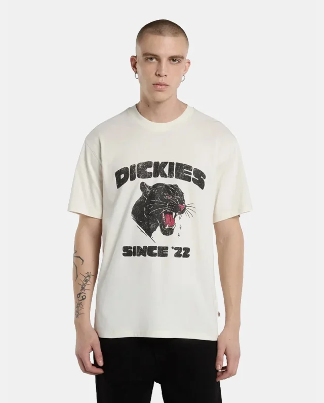 DICKIES MCDERMITT TEE EGRET DK0A8CU2C481 - DICKIES