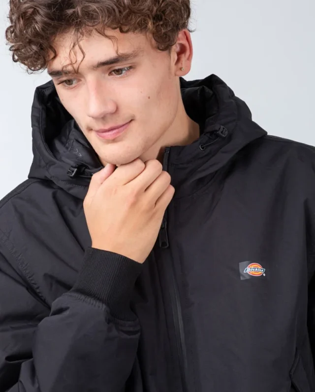 dickies-new-sarpy-jacket-black (3)