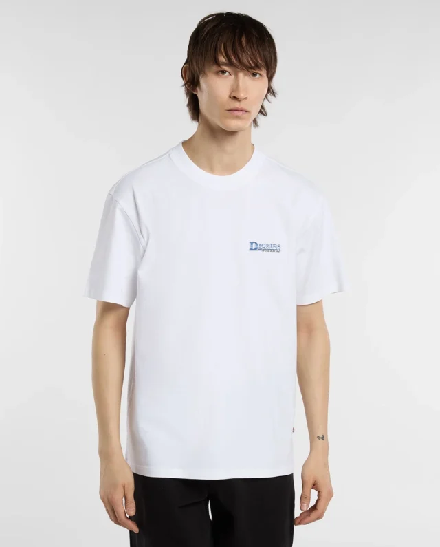 DICKIES GAINESVILLE TEE WHITE DK0A8CCK0WH1 - DICKIES