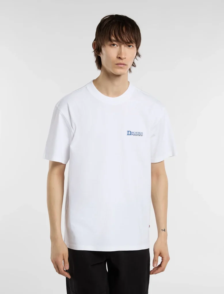 DICKIES GAINESVILLE TEE WHITE DK0A8CCK0WH1 - DICKIES