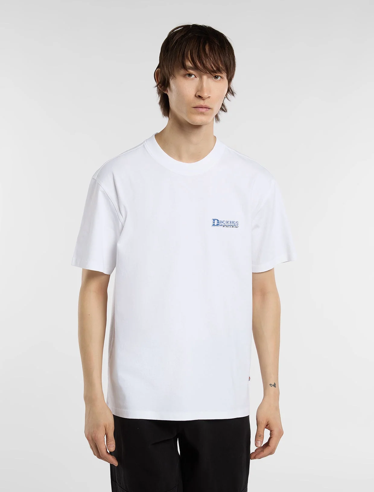 DICKIES GAINESVILLE TEE WHITE DK0A8CCK0WH1 - DICKIES