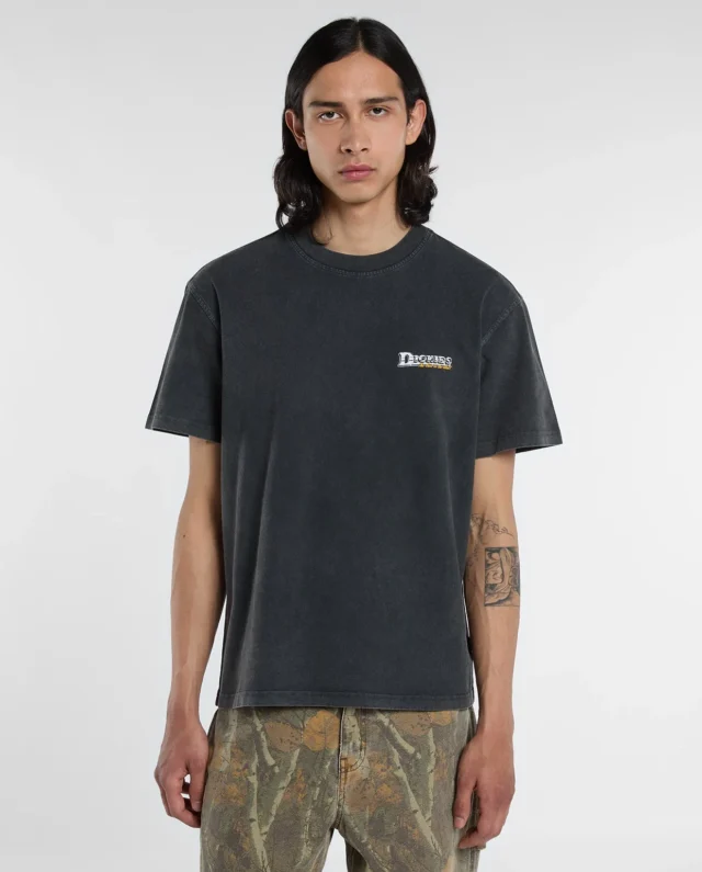 DICKIES GAINESVILLE TEE BLACK DK0A8CCKBLK1 - DICKIES