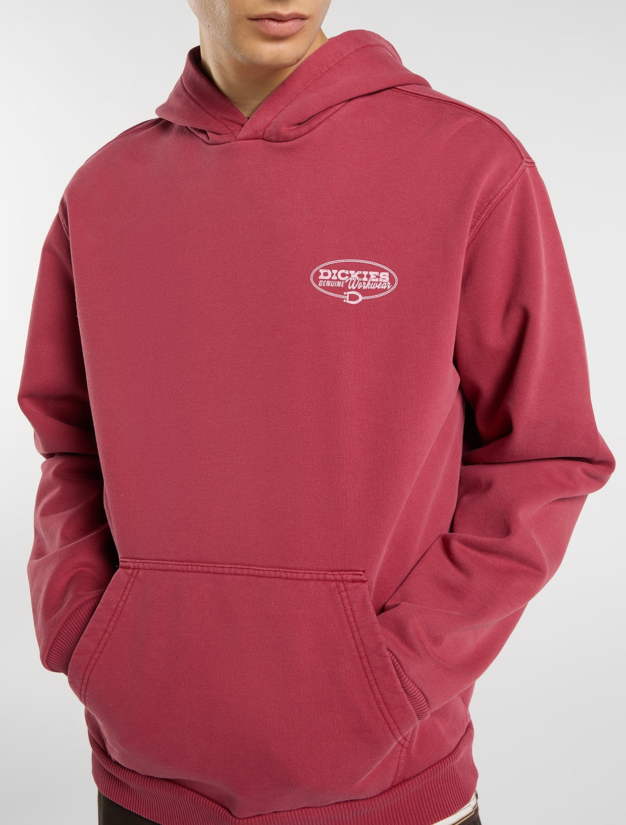 DICKIES AVONDALE HOODIE TIMBER BROWN DK0A8CHX0TB1 - DICKIES